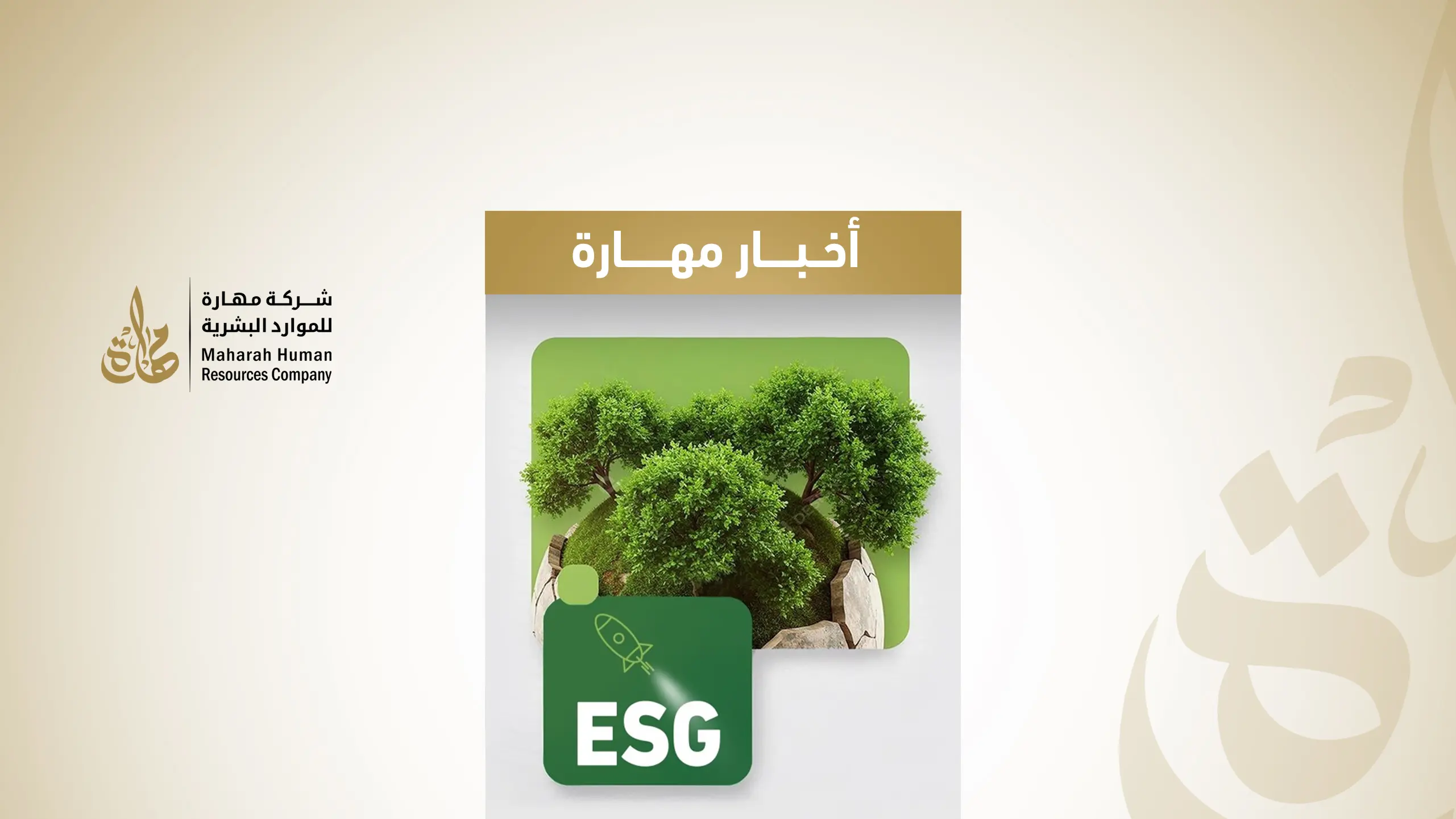 استراتيجية الاستدامة البيئية